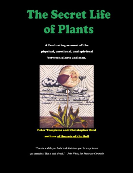 reviews-secret-life-of-plants.jpg